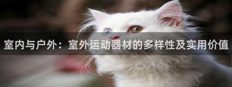 NG大舞台官网下载软件:室内与户外:室外运动器材的多样性及实