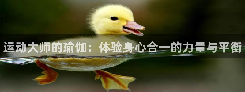 NG大舞台官方正版app娱乐网站:运动大师的瑜伽:体验身心合