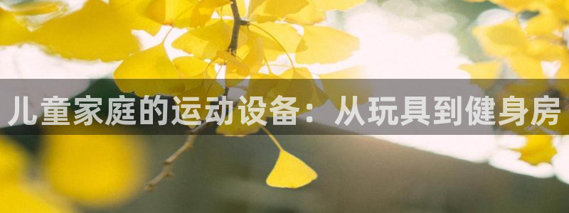 NG大舞台官网下载平台注册要钱吗安全吗:儿童家庭的运动设备: