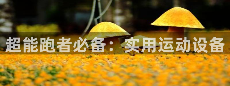 NG大舞台官方正版app娱乐下载:超能跑者必备:实用运动设备