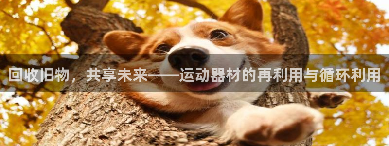 NG大舞台官网下载平台假的吗是真的吗:回收旧物,共享未来——